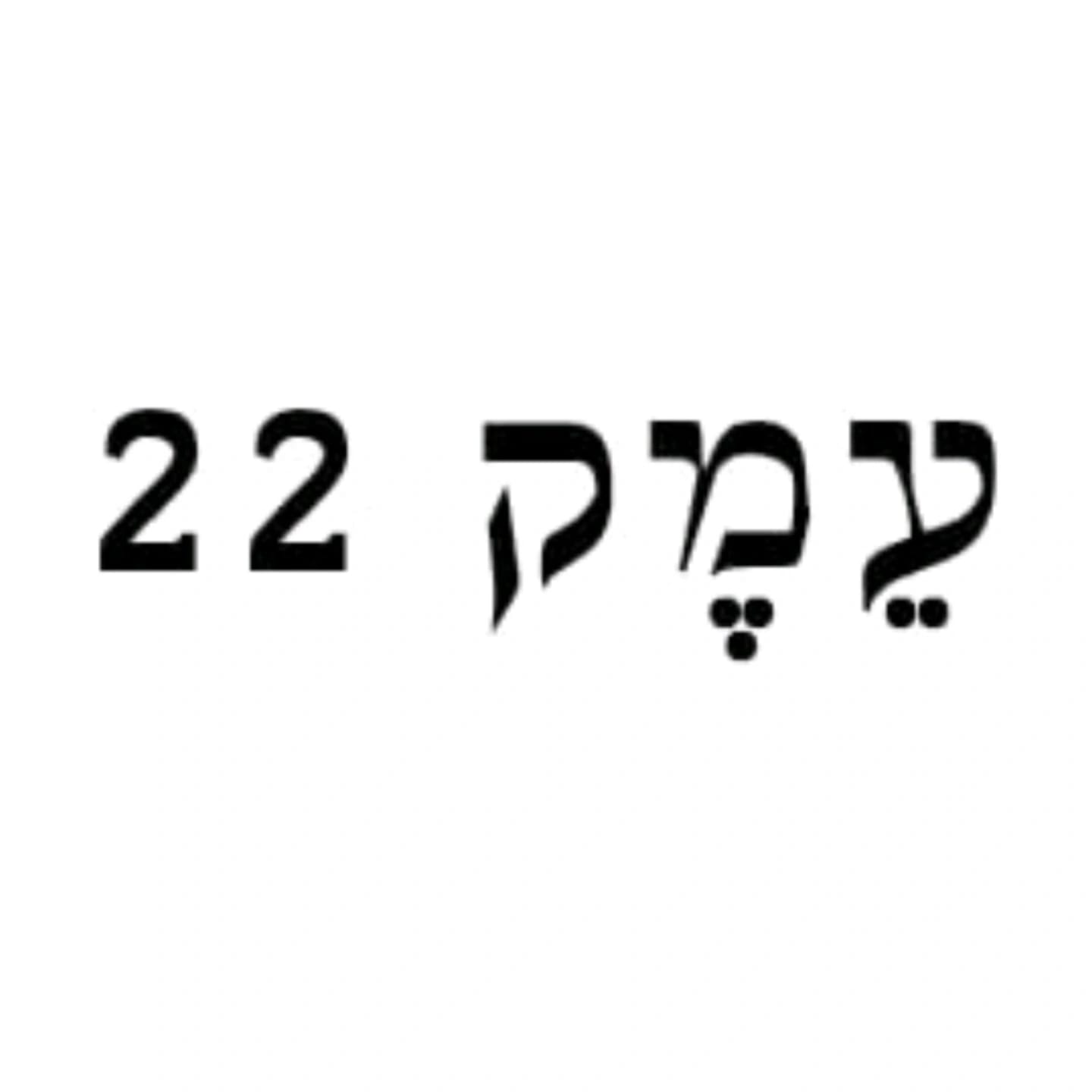עמק 22