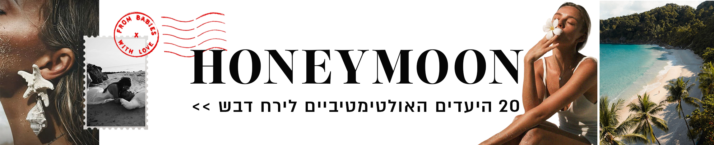 חברות הקהילה שלנו בחרו 20 יעדים שווים להאנימון