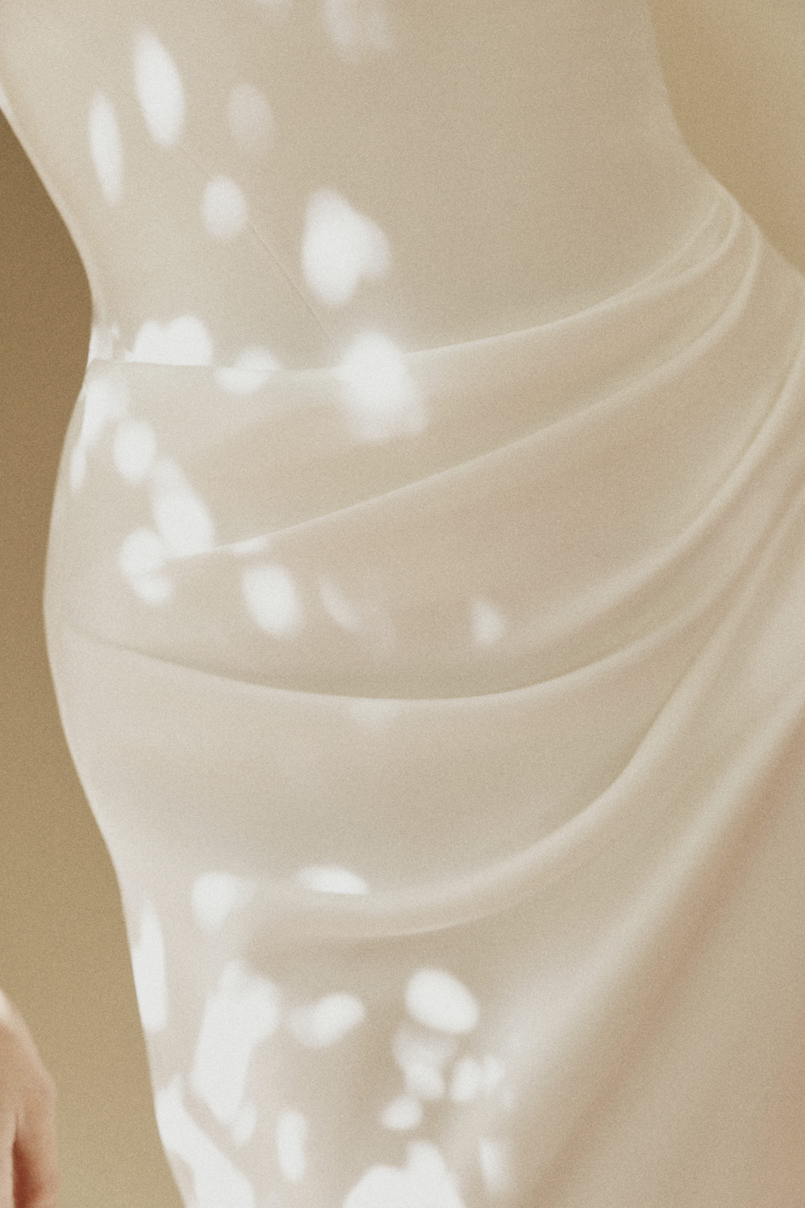 Luminary 26 01 26 0488