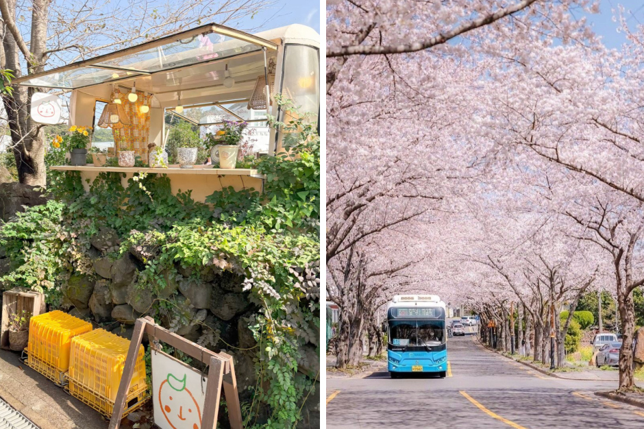 1Jeju Island