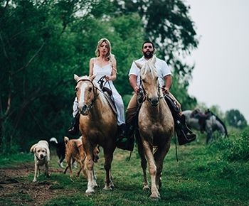 חתונה מהממת בחוות סוסים