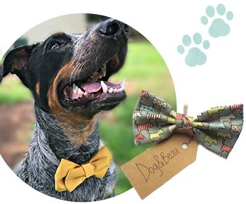 שופינג אונליין: אקססוריז חתונתיים לכלבים