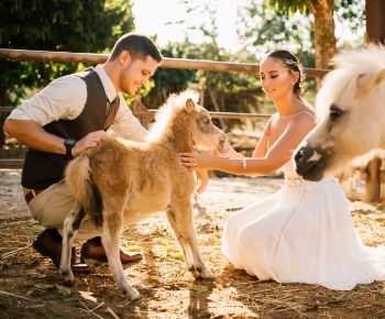 חתונת סתיו מהממת: עם צילומי זוגיות מושלמים בחווה