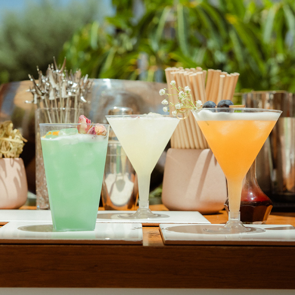 St. Bernard Mixology